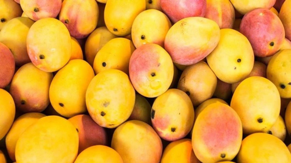 Trump Cuts Food Import Tariffs